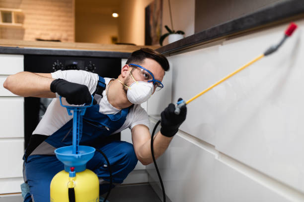 Best Insect Control  in Mifflinburg, PA