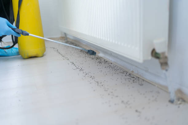 Best Pest Removal Services  in Mifflinburg, PA